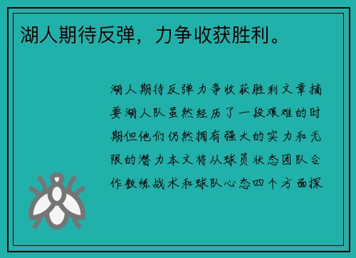 湖人期待反弹，力争收获胜利。