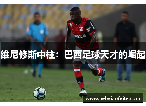 维尼修斯中柱：巴西足球天才的崛起